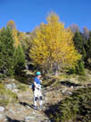 salita nel bosco