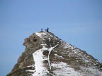 cima