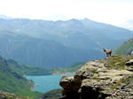 lago di Cignana