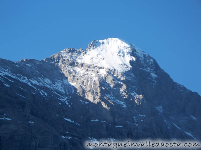 monch svizzera