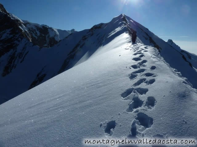 monte rosa