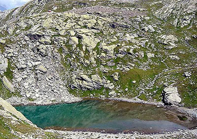 laghi netscio