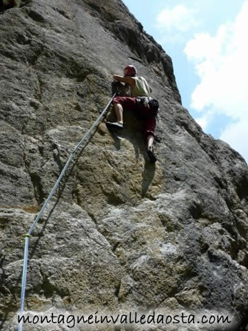 orecchio del pachiderma