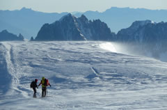 aiguilles grises