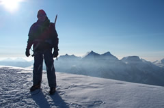 bishorn