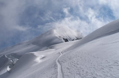 weissmies