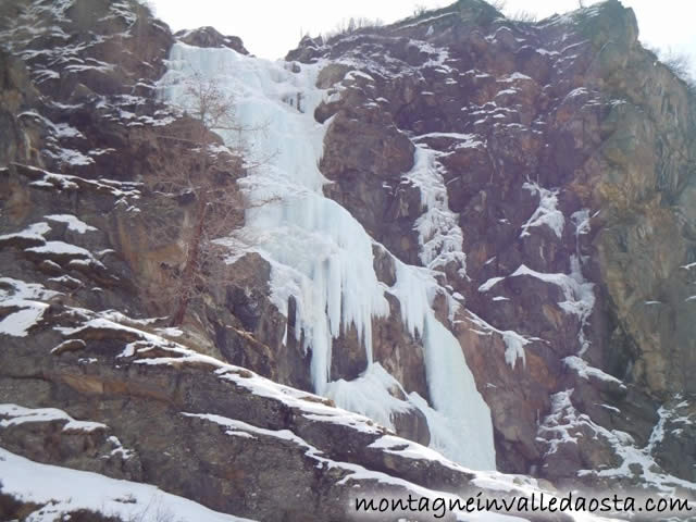 cascata coupè di money