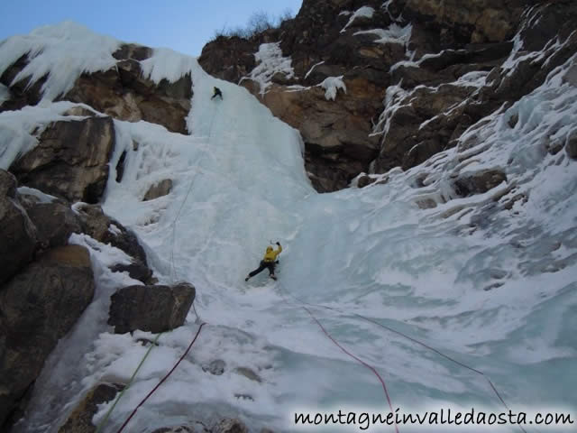 cascata coupè di money