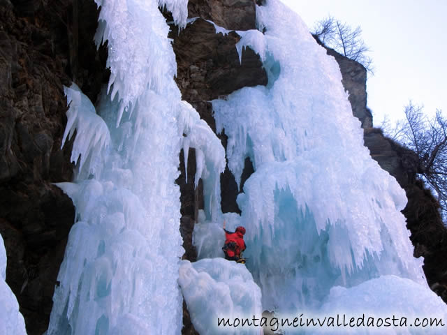 candelone di giavin