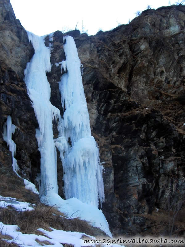 candelone di giavin