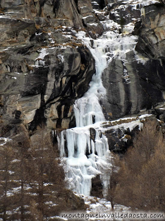 cascata arbre magique