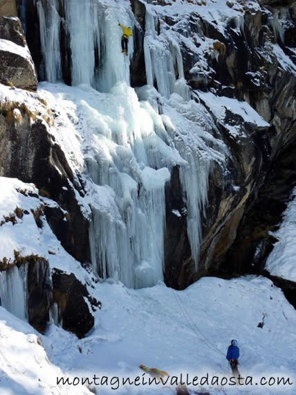 cascata arbre magique