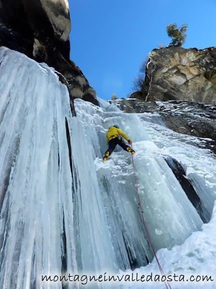 cascata arbre magique