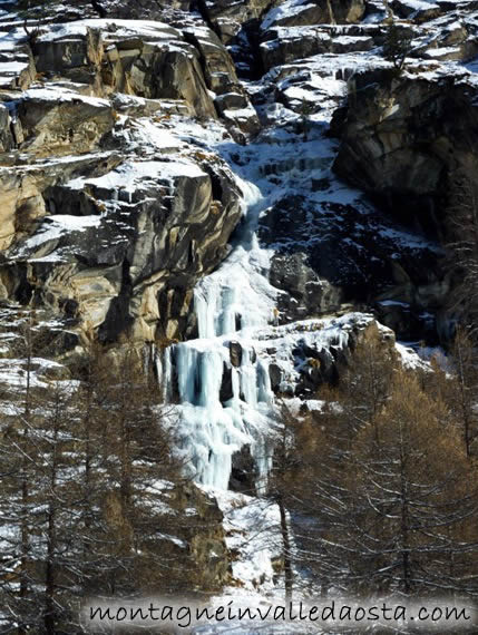 cascata arbre magique