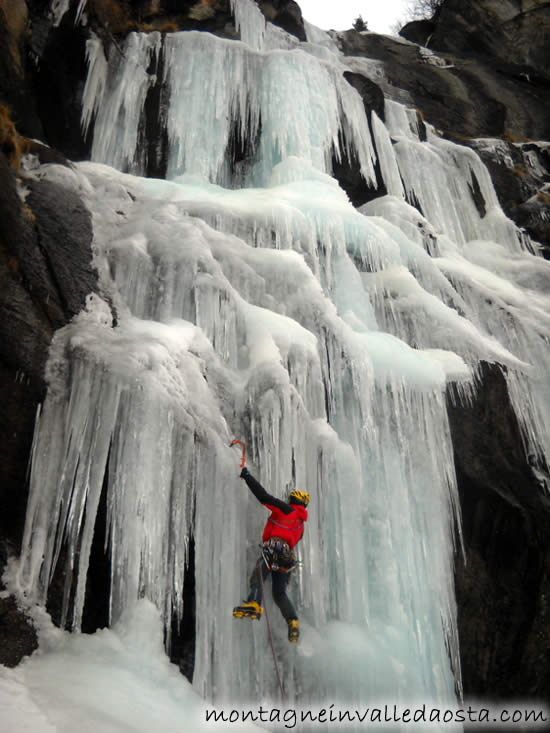 arbre magique cascata