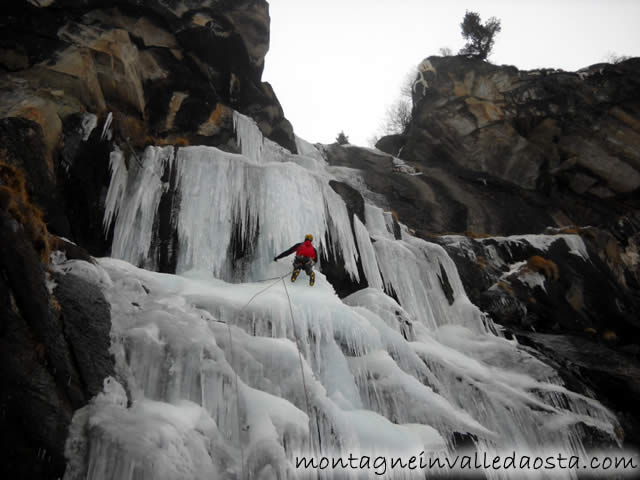 cascata arbre magique