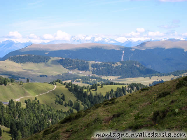 alpe di tires