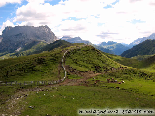 alpe di tires