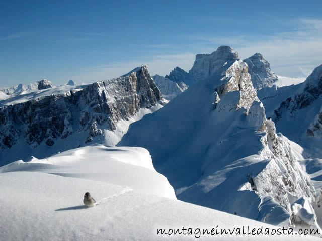 rifugi_averau_e_nuvolau