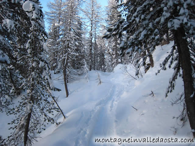 rifugi_averau_e_nuvolau