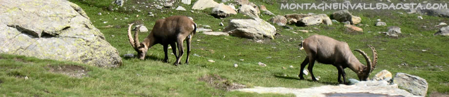 rifugio mezzalama