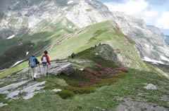 alpi_marittime