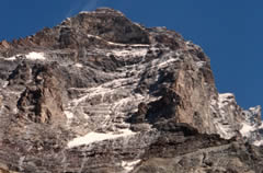 croce carrel