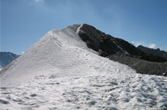 punta_kurz