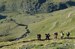 punta tervisa