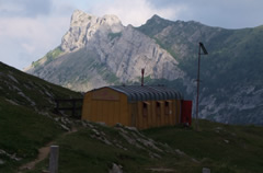 saccarello