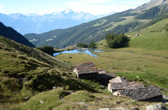tete blanche