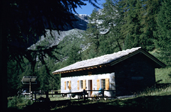 casotto trajo
