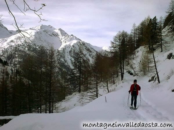 villaggio les goilles lillaz cogne