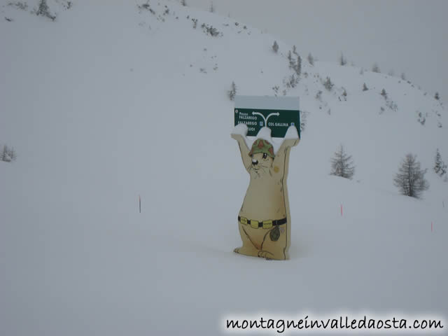 col gallina dolomiti