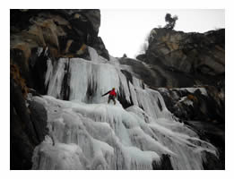 cascata_arbre_magique