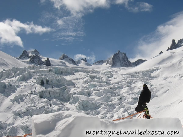 vallée blanche