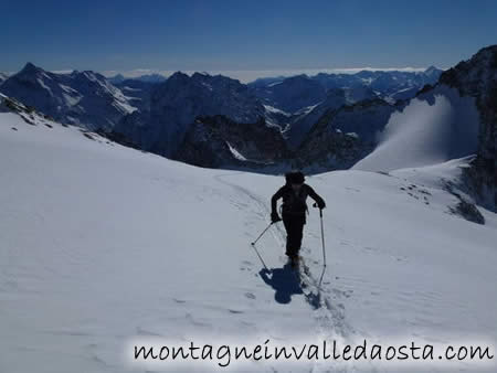 mont gele