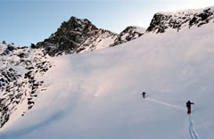 cresta_mortens