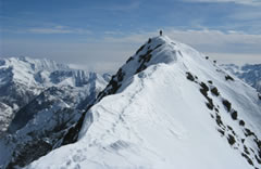 mont nery