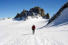 tour_3_cols