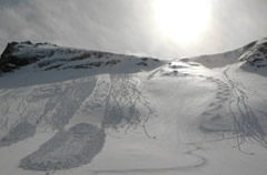 tout blanc