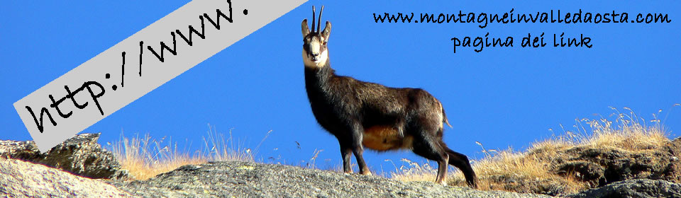 montagneinvalledaosta.com