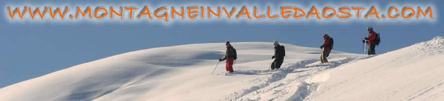 montagneinvalledaosta.com