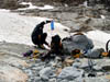 P7090044