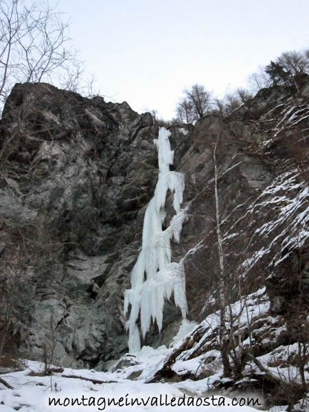 il dio bianco